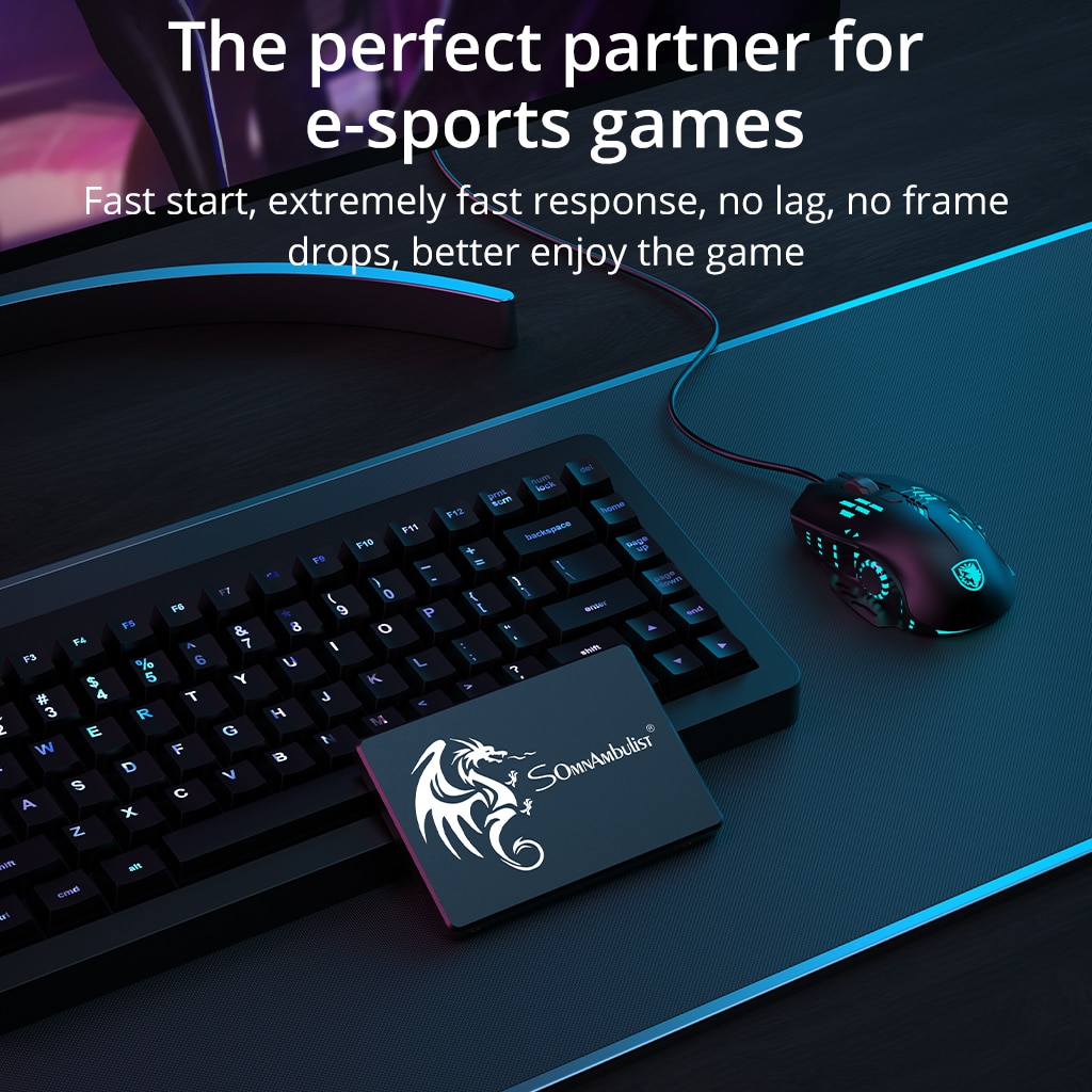 ソムナンブリストssd 120gb 240gb 480gb  - Ssd 500Gb のレビューと価格