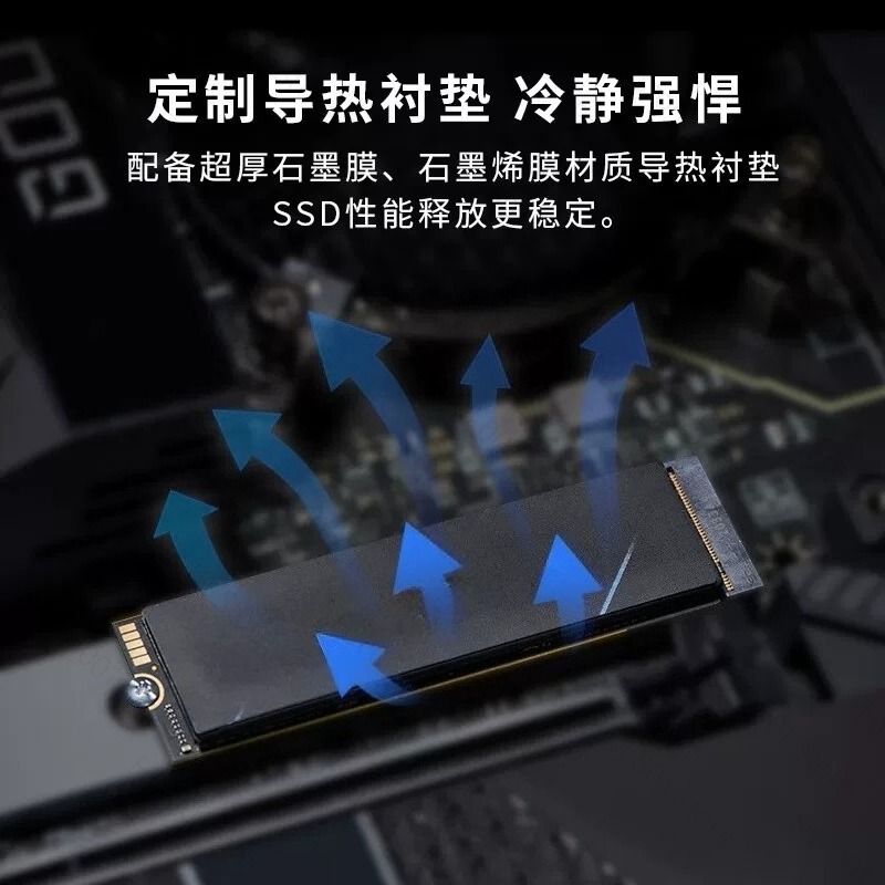 Acer Predator GM7/GM7000用 M.2  - Ssd 1Tb のレビューと価格